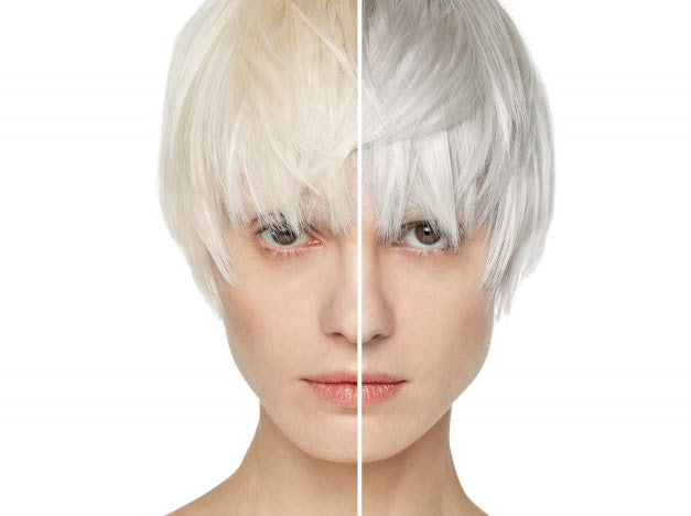 Silver shine shampoo
